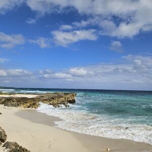 Meet your Posher, Ann